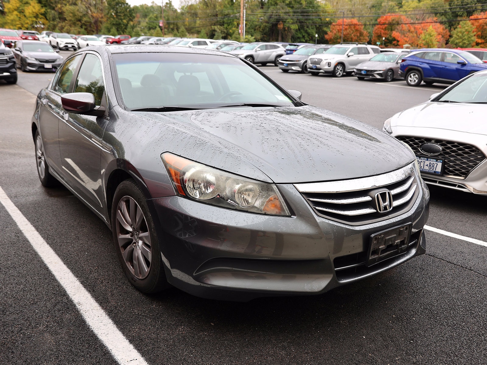 2011 Honda Accord