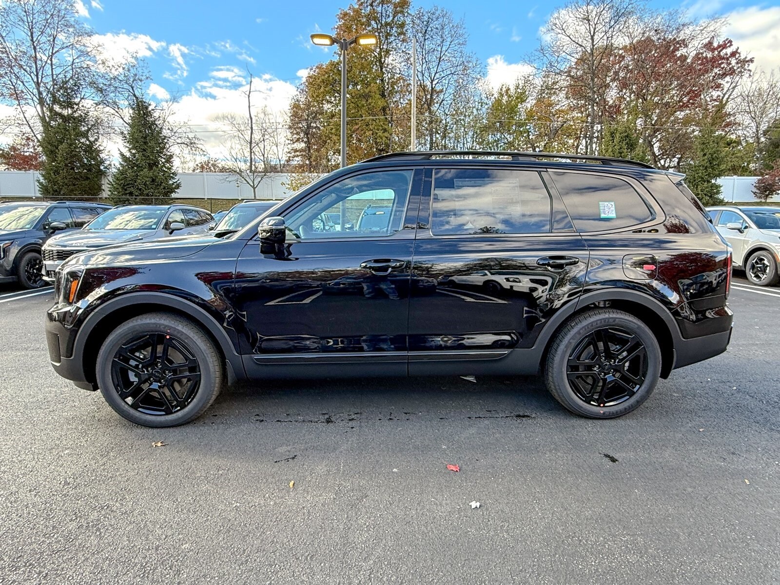 2025 Kia Telluride X-Line X-Pro photo 2