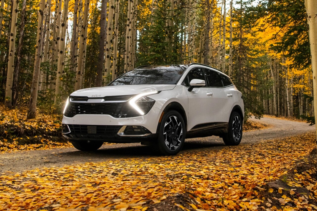 New Kia Sportage Healey Kia