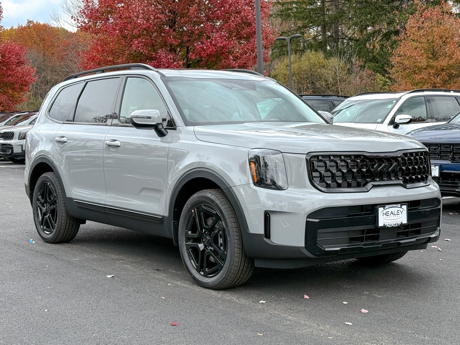 2025 Kia Telluride EX X-Line's photo