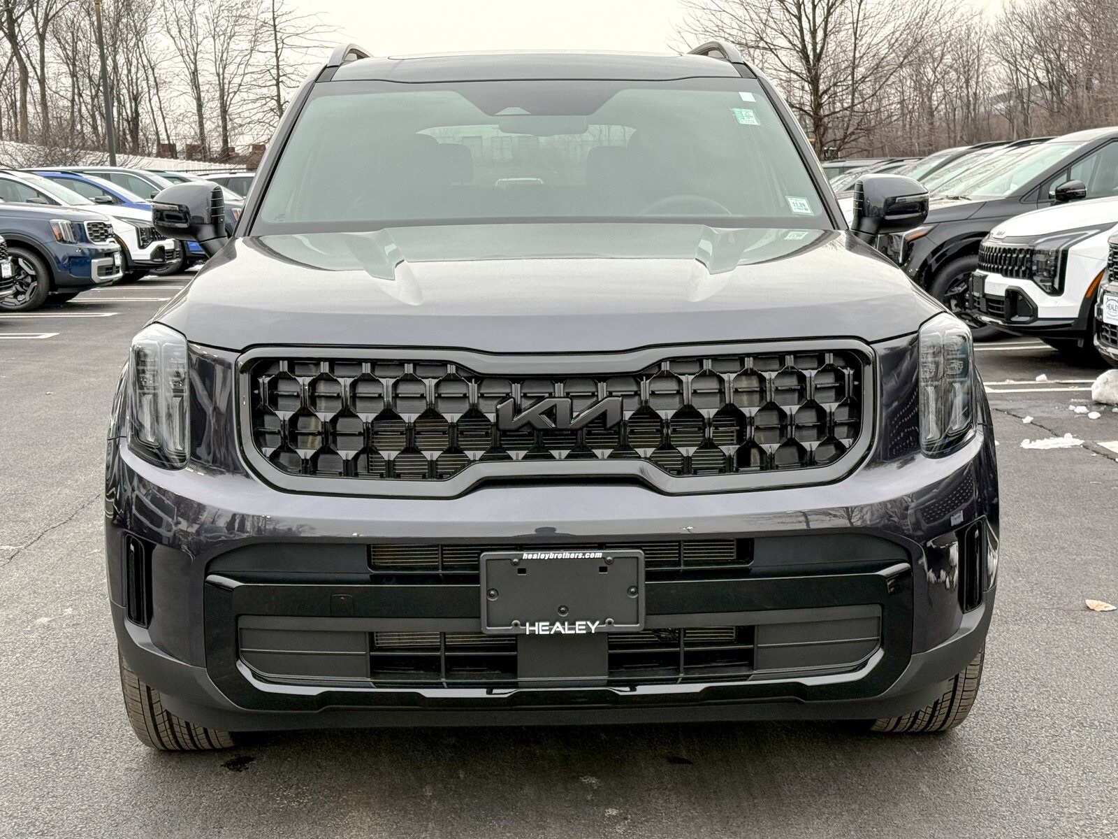 2025 Kia Telluride EX X-Line photo 2