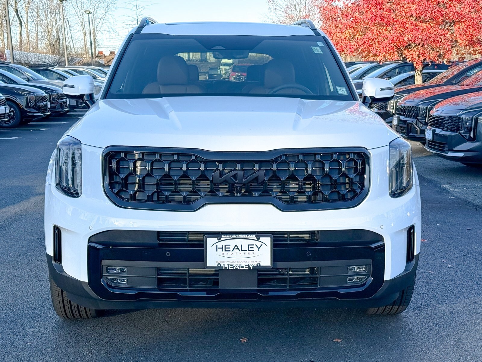 2025 Kia Telluride X-Line photo 2