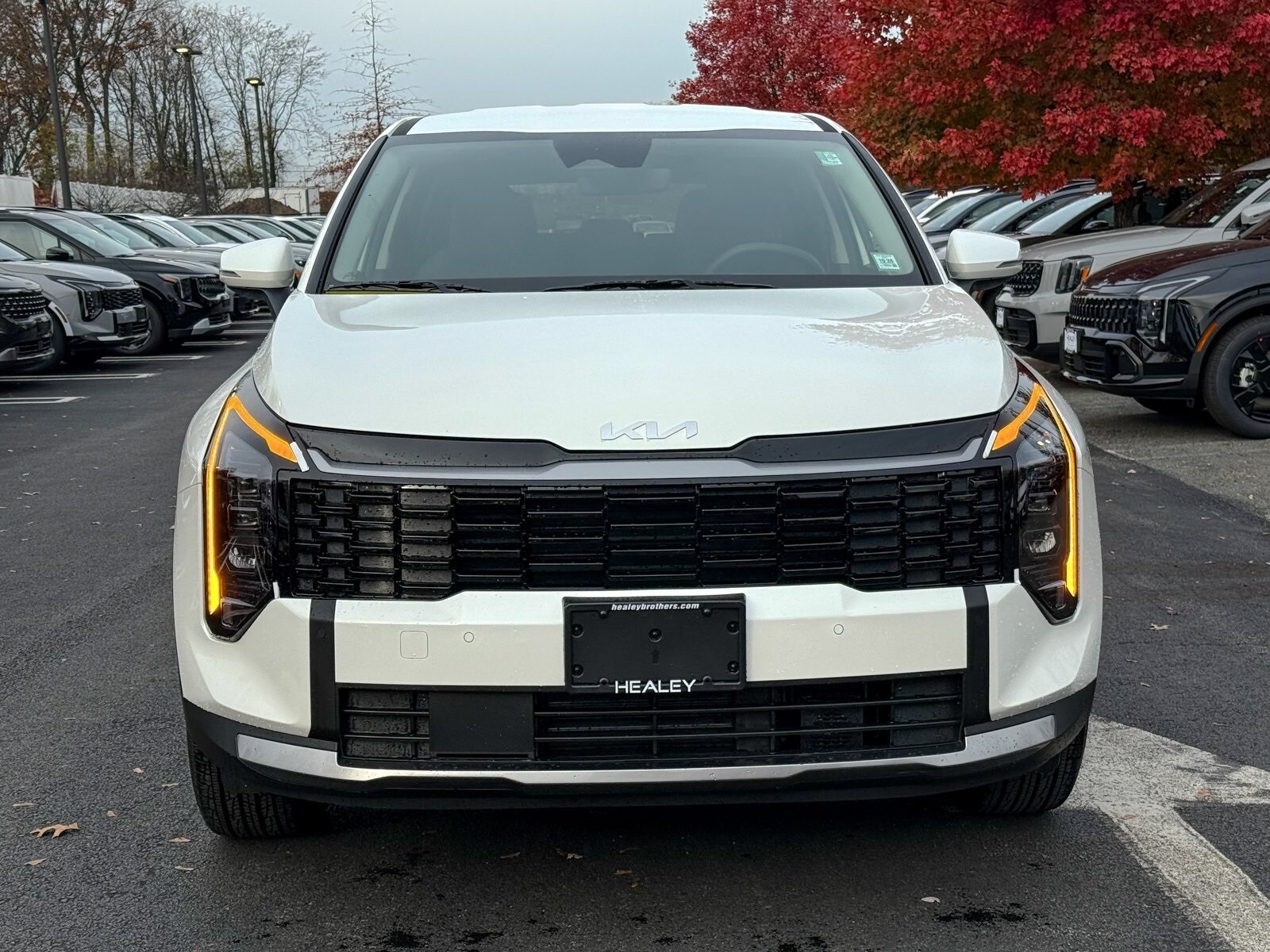 2026 Kia Sportage Hybrid S photo 2