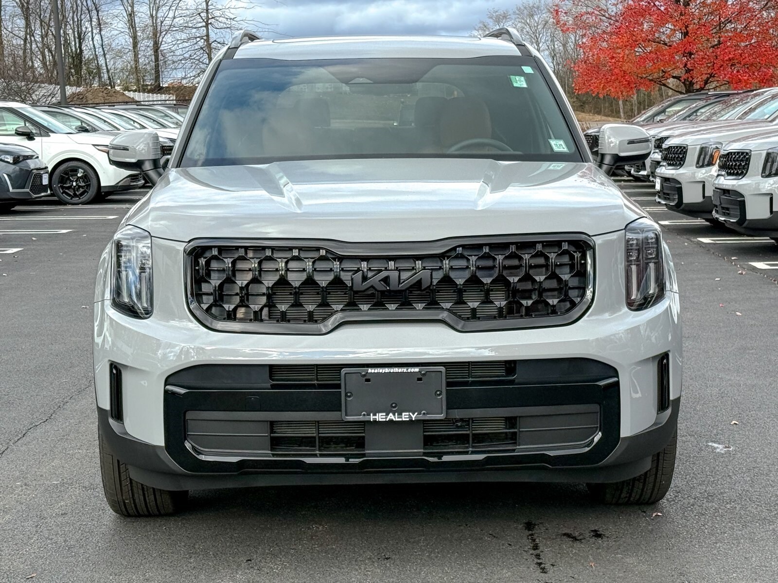 2025 Kia Telluride X-Line EX X-Pro photo 2