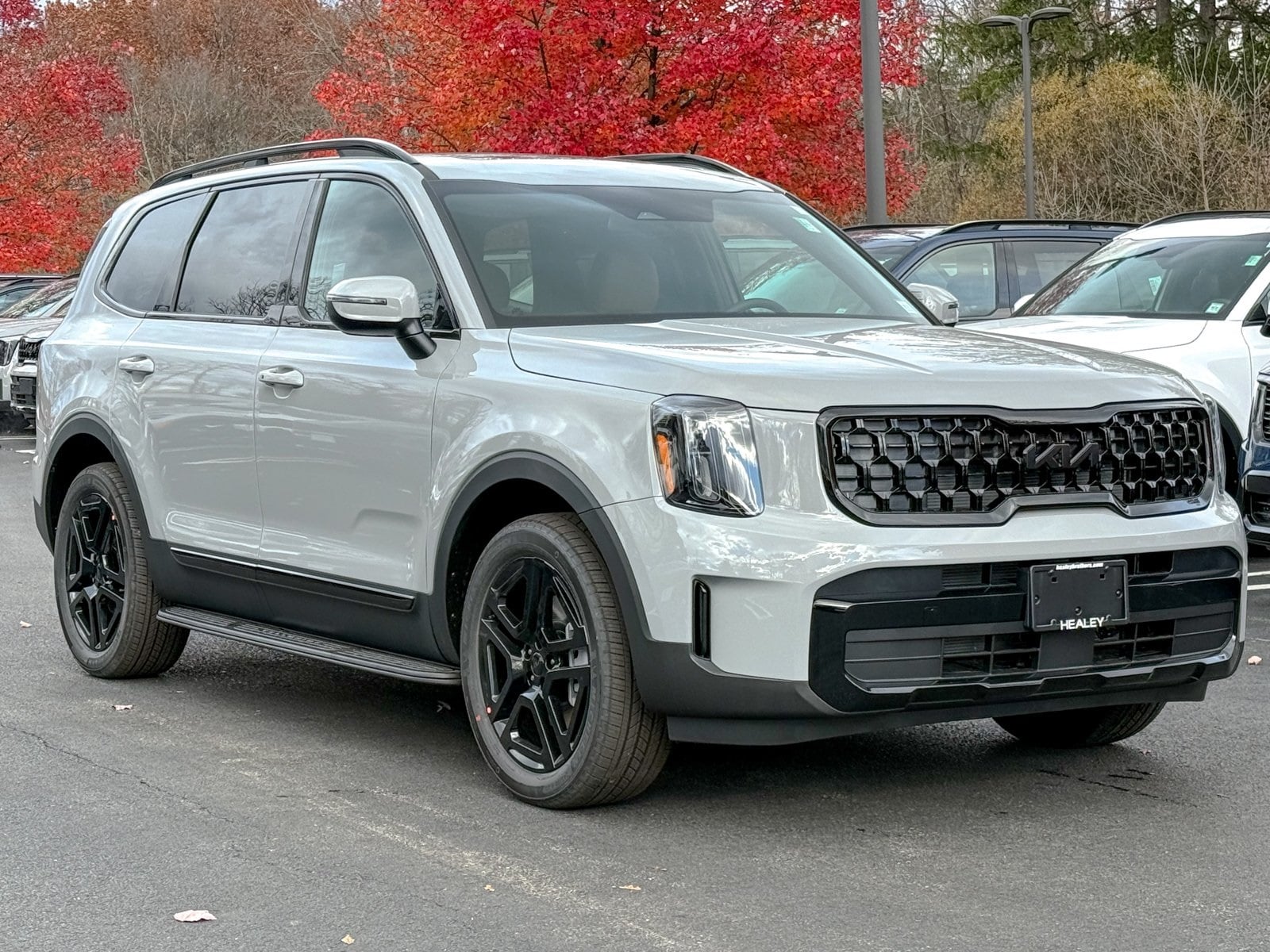 2025 Kia Telluride EX X-Line's photo