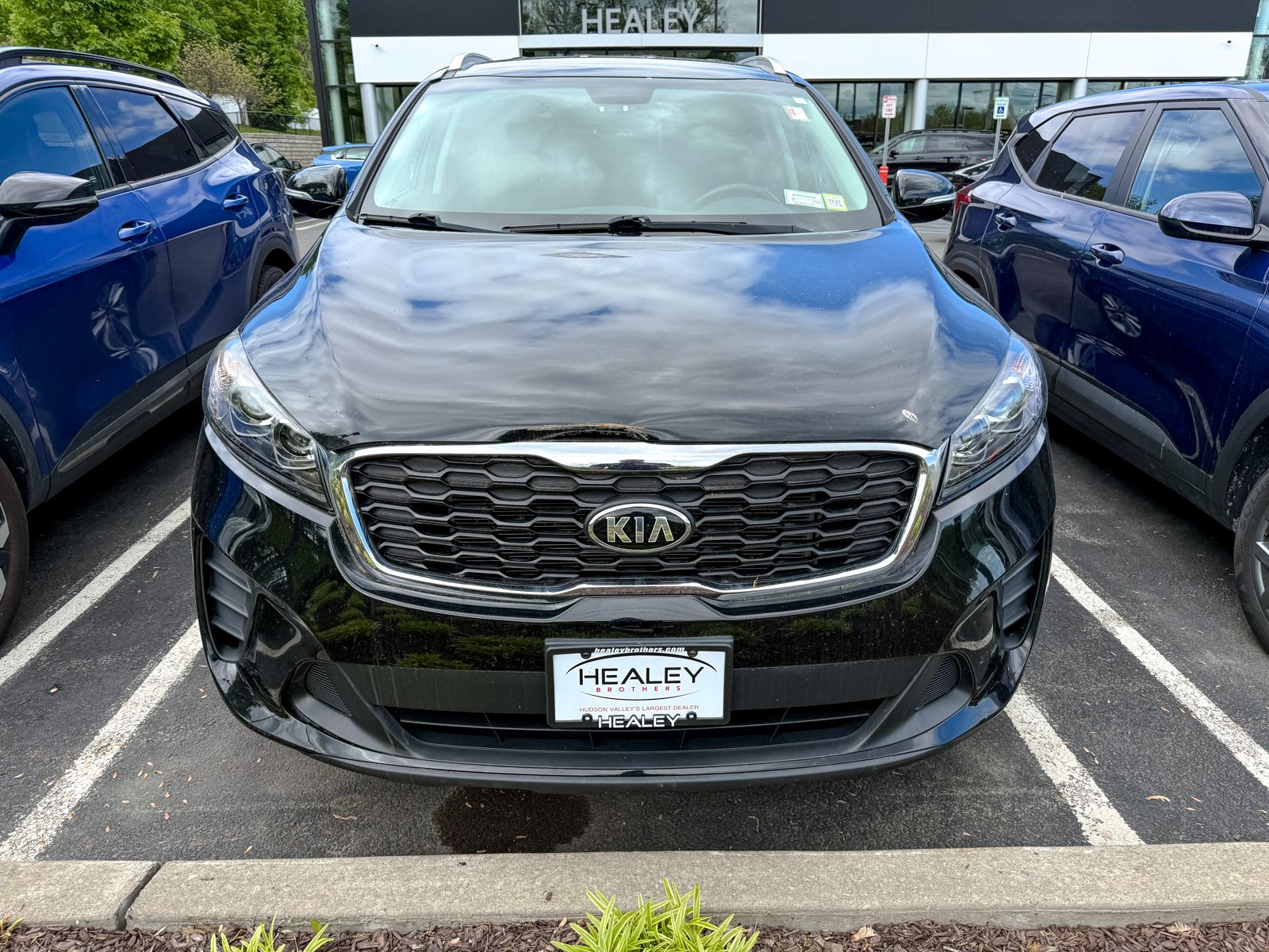 Certified 2019 Kia Sorento LX with VIN 5XYPGDA35KG435684 for sale in Newburgh, NY