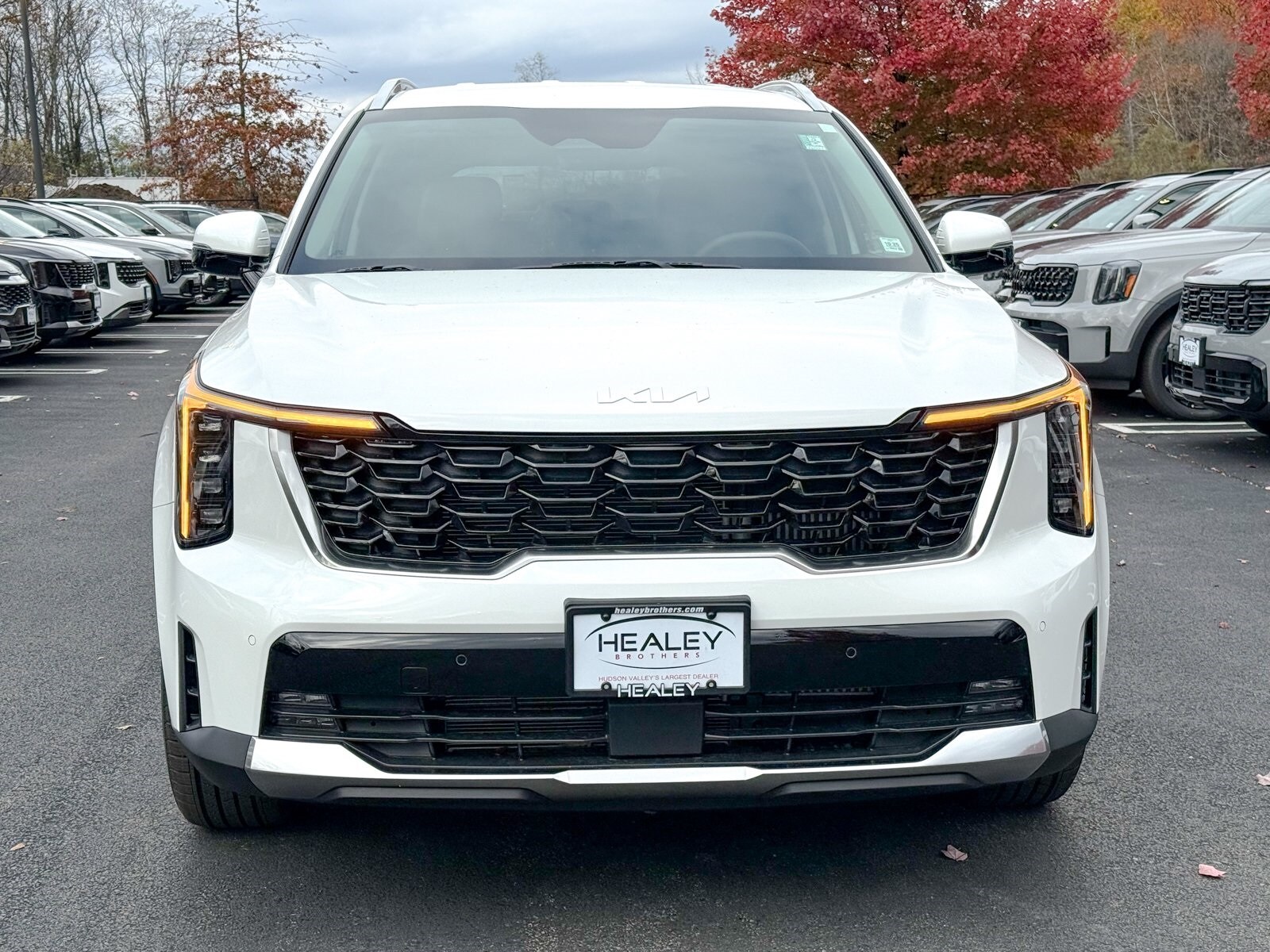 2026 Kia Sorento Hybrid EX photo 2