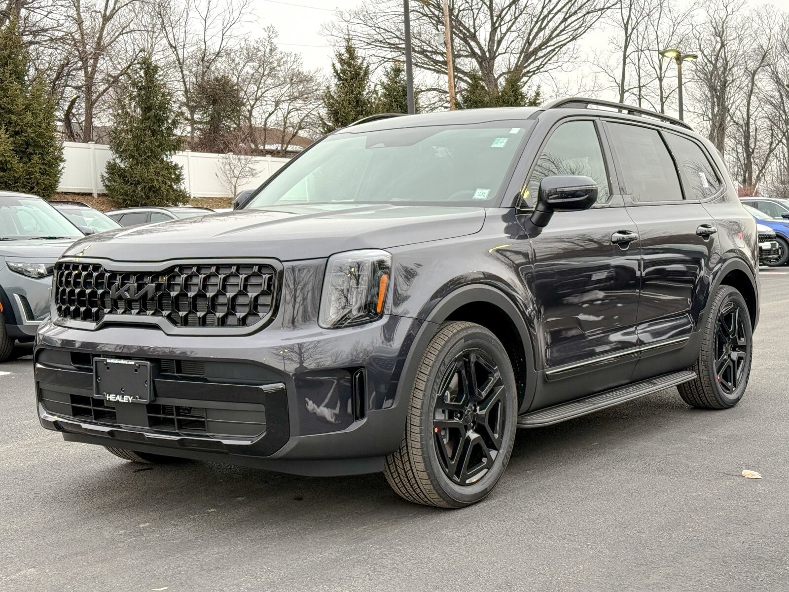 2025 Kia Telluride EX X-Line photo 3