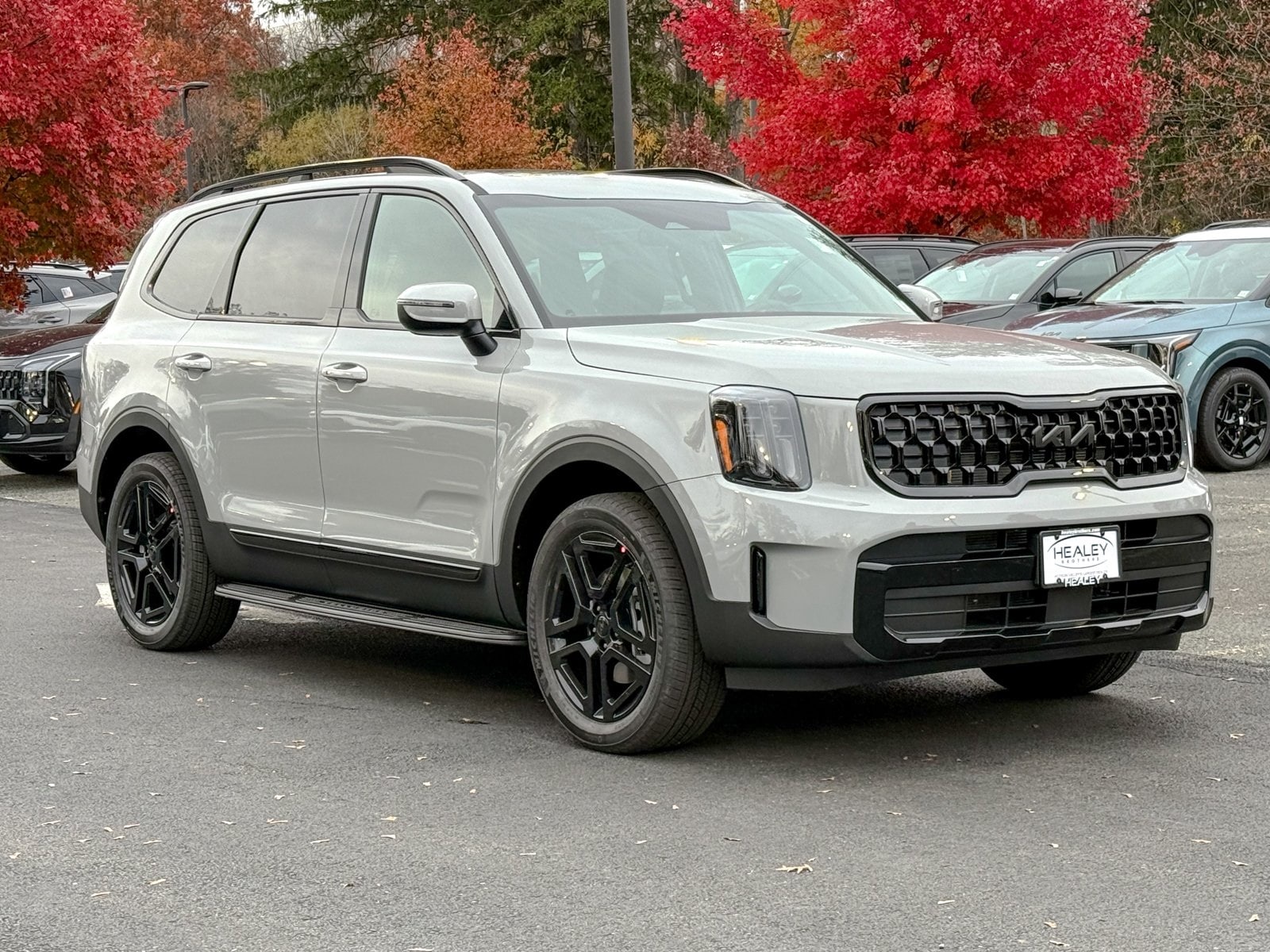 2025 Kia Telluride EX X-Line's photo