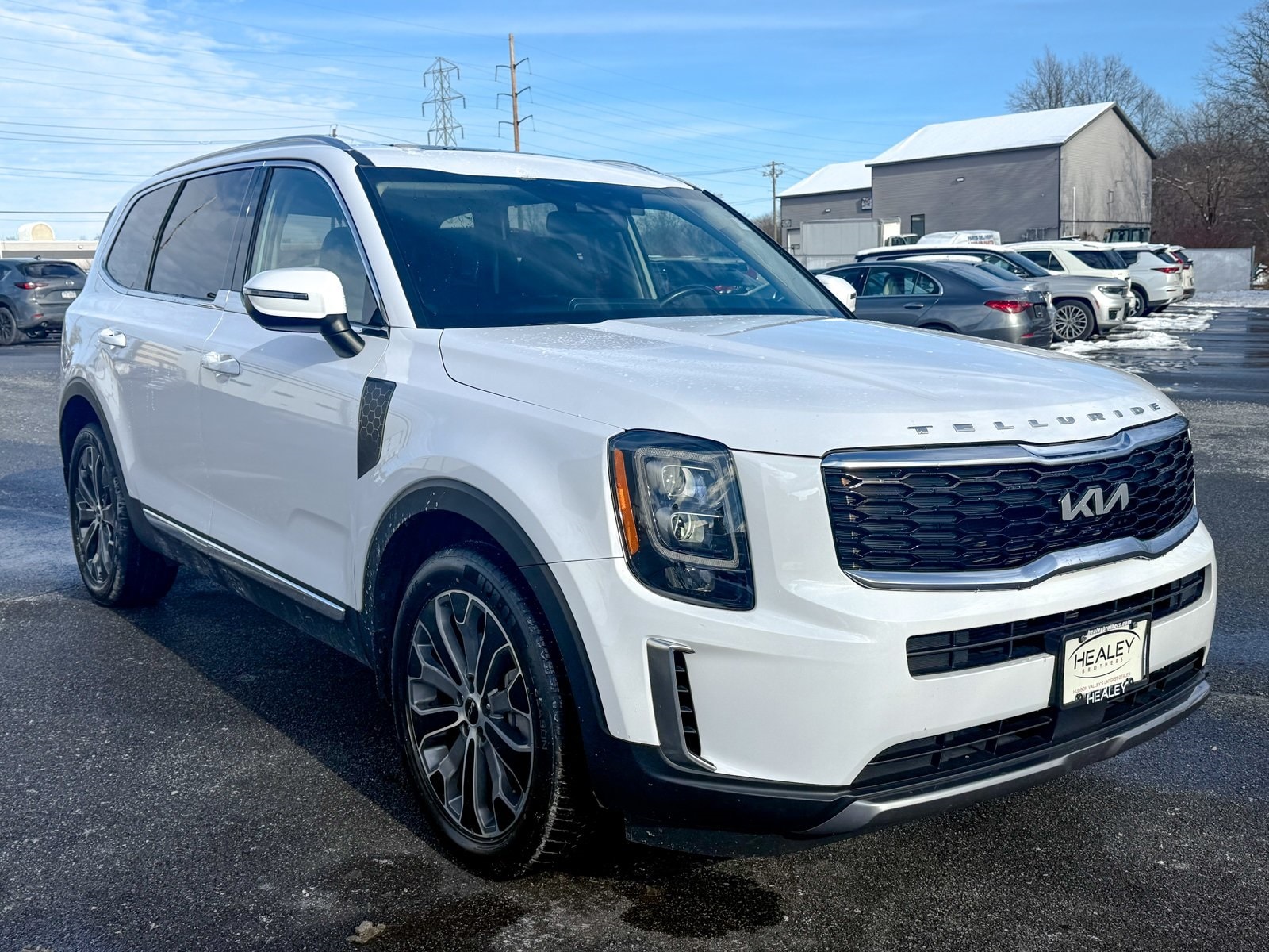 2022 Kia Telluride EX's photo
