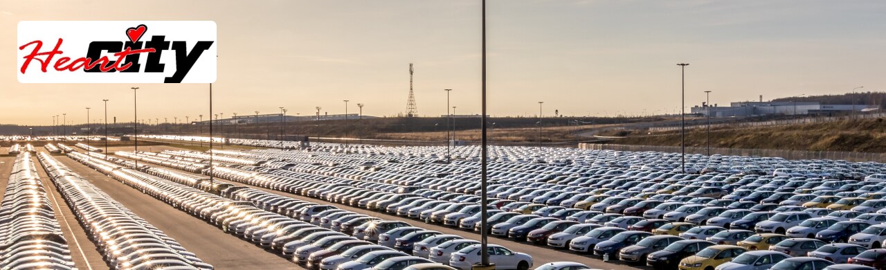 Your-Local-Auto-Experts-Serving-Mishawaka.png