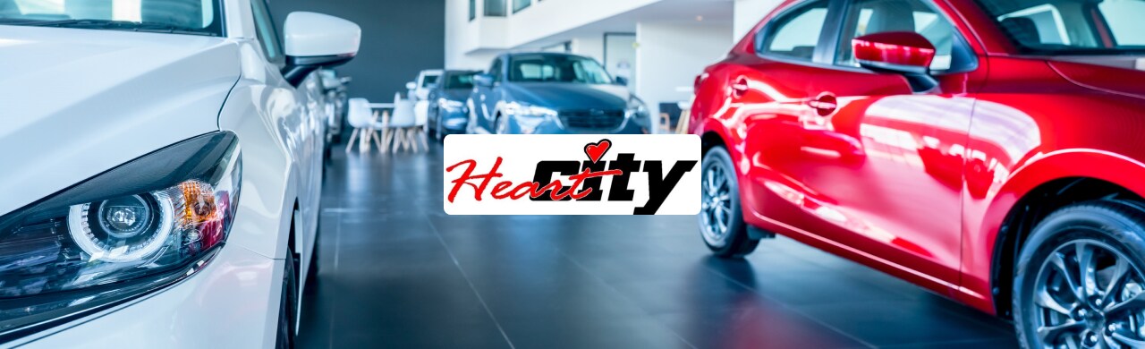 Car-Shopping-Made-Easy-Expert-Tips-from-Our-Team.png