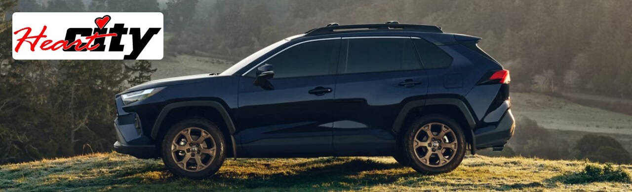A sleek black Toyota RAV4 Hybrid is parked on a grassy hill overlooking a scenic forest landscape