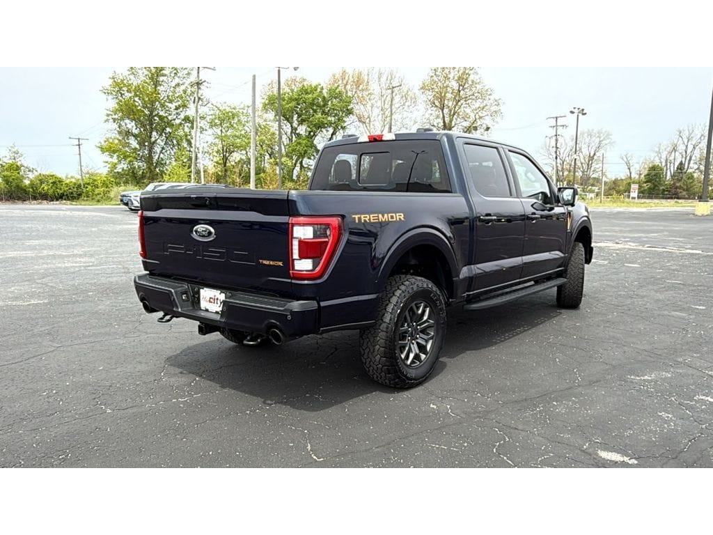 2023 Ford F-150 Tremor - Photo 7