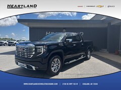 2025 GMC Sierra 1500 Denali Truck
