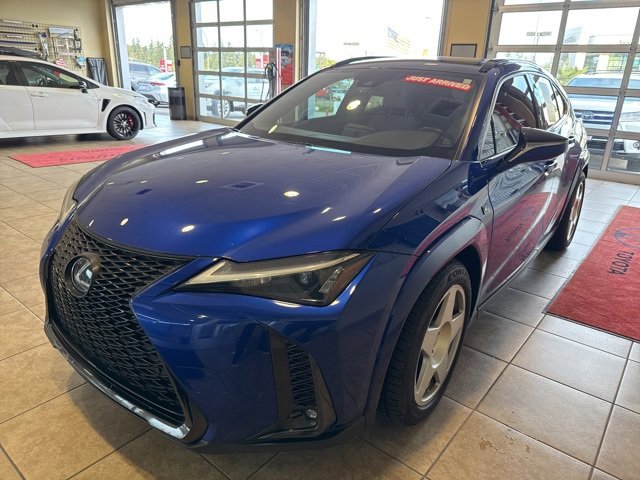 2023 Lexus UX 250h F SPORT Design photo 3