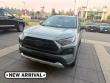 Used 2019 Toyota RAV4 Adventure SUV