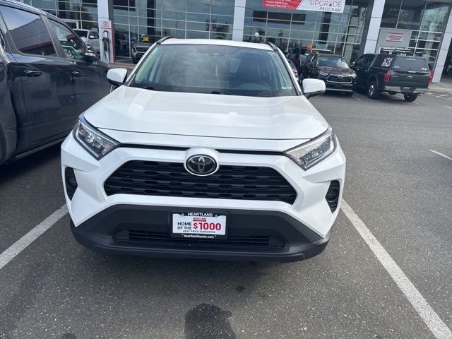 2019 Toyota RAV4 XLE photo 2