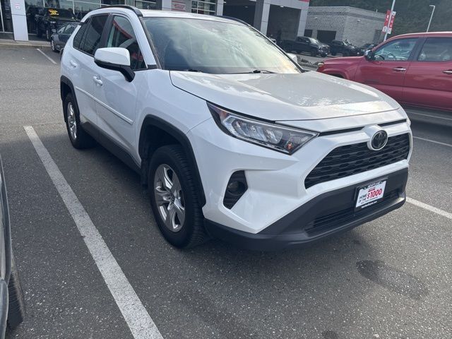 2019 Toyota RAV4 XLE photo 3