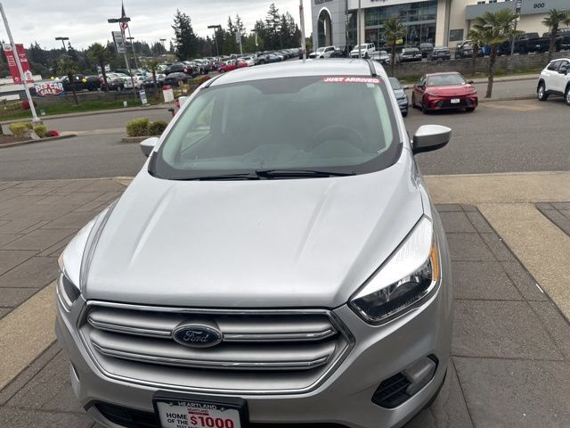 2019 Ford Escape SE photo 2