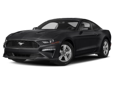 Used 2021 Ford Mustang Ecoboost Coupe for Sale in Stafford, TX at Helfman Ford