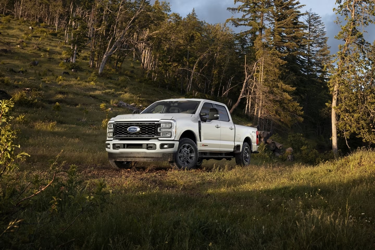 2024-Ford-F-350-Forest.jpeg