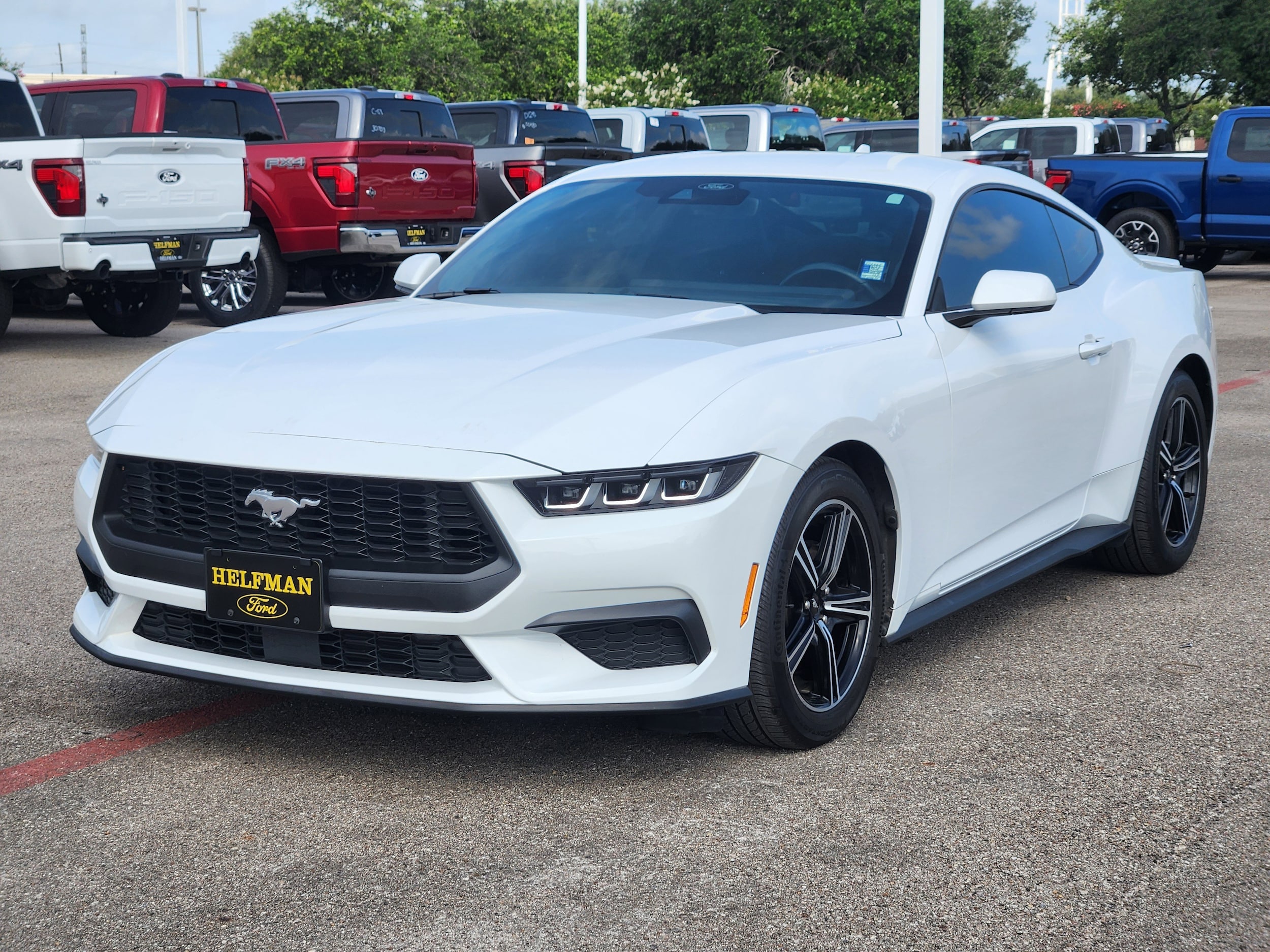 Used 2024 Ford Mustang EcoBoost Premium with VIN 1FA6P8TH9R5113425 for sale in Stafford, TX