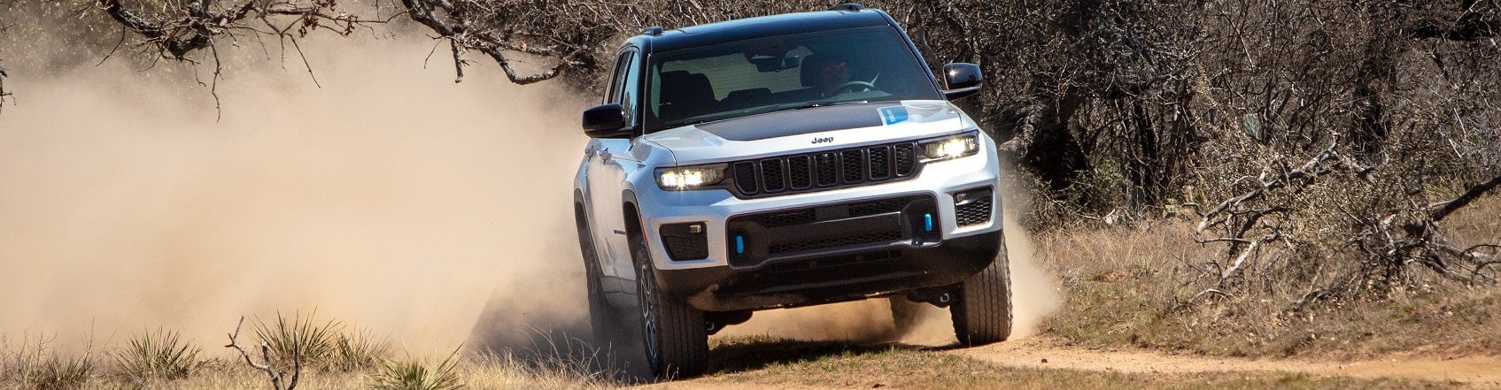 Jeep Dealer