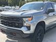 2025 Chevrolet Silverado 1500 Custom Trail Boss Pickup