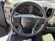 2025 Chevrolet Silverado 1500 Custom Trail Boss Pickup