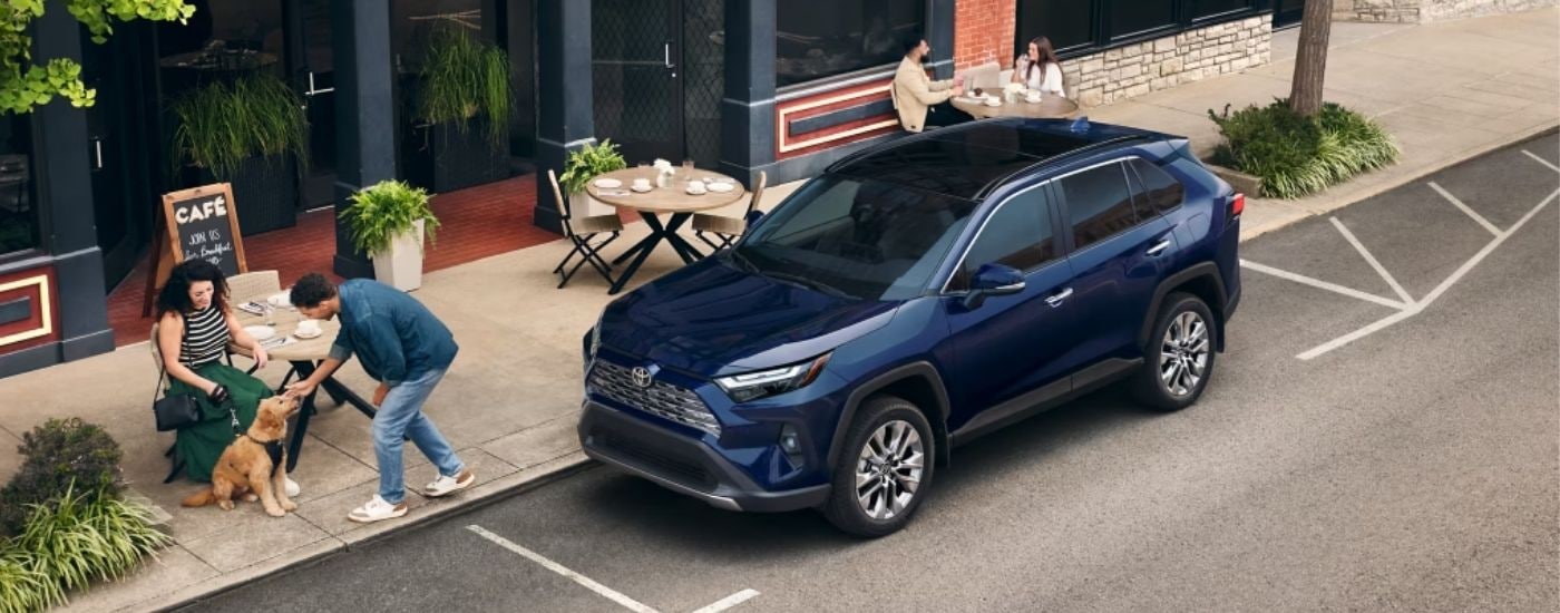 A blue 2025 Toyota RAV4 is parked outside of a cafe.