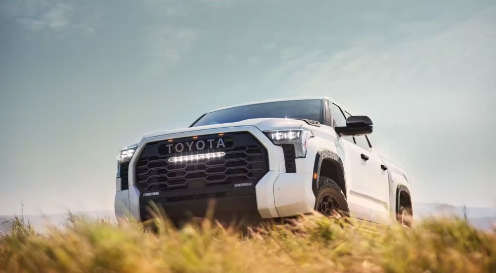 Trucks for Sale in Raleigh - 2024 Toyota Tundra TRD Pro - Grass 2.jpg White 2024 Toyota Tundra TRD Pro parked in a wheat field.