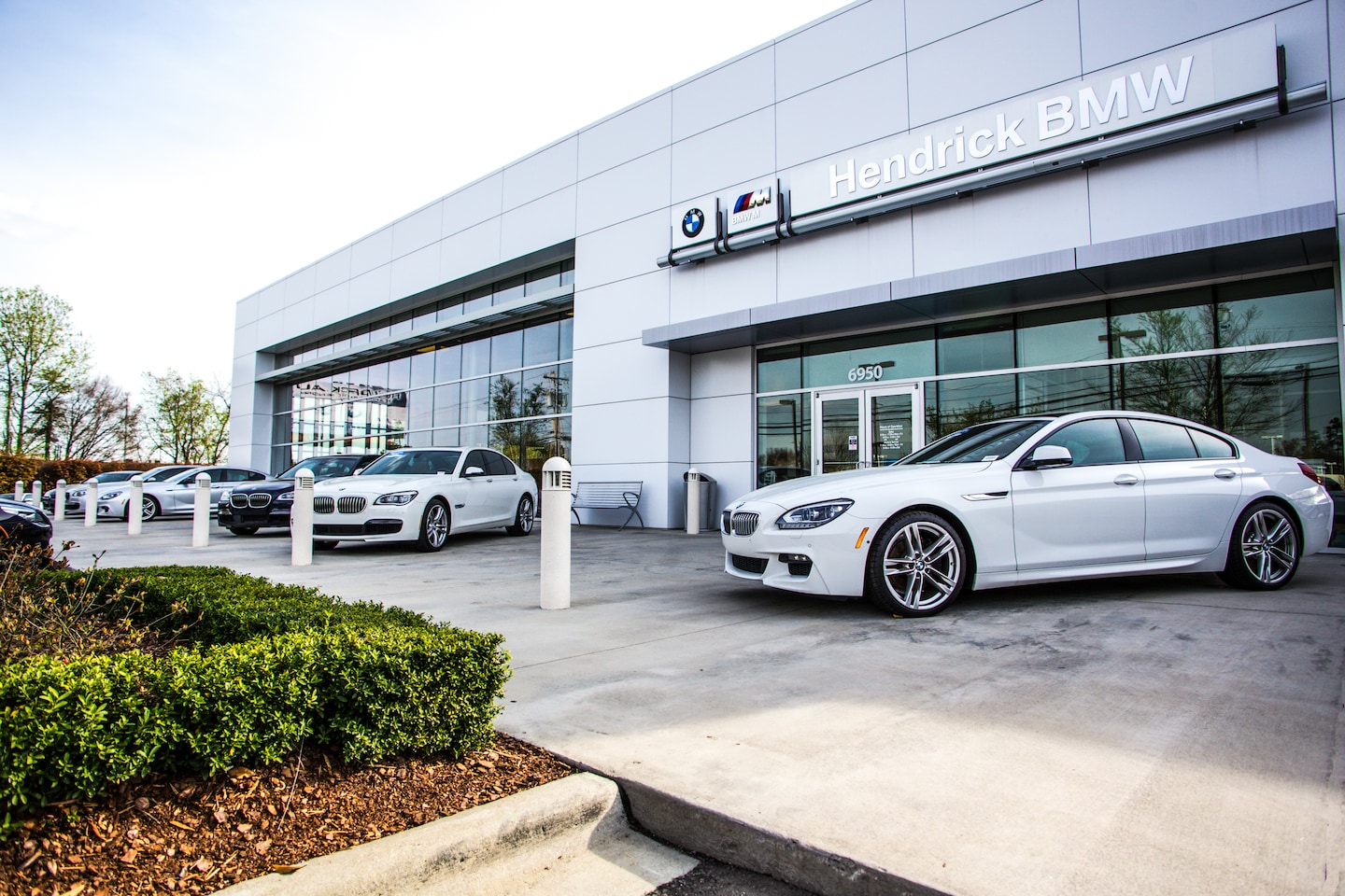 BMW Geniuses | Hendrick BMW Northlake