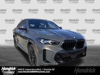 2026 BMW X6