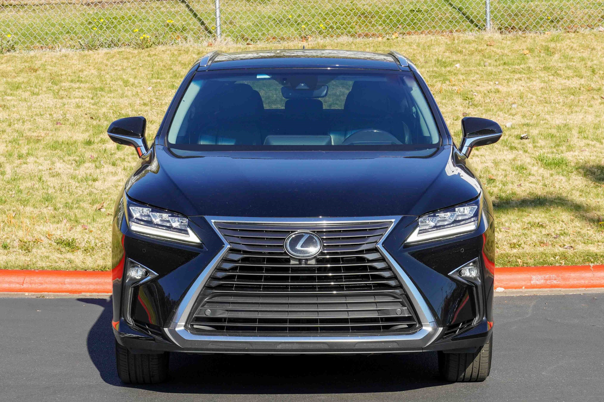 2019 Lexus RX 350 photo 2
