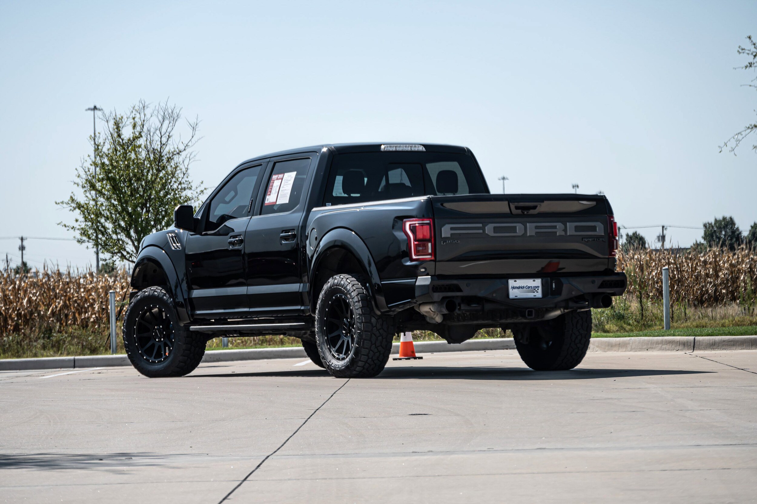2019 Ford F-150 Raptor photo 2