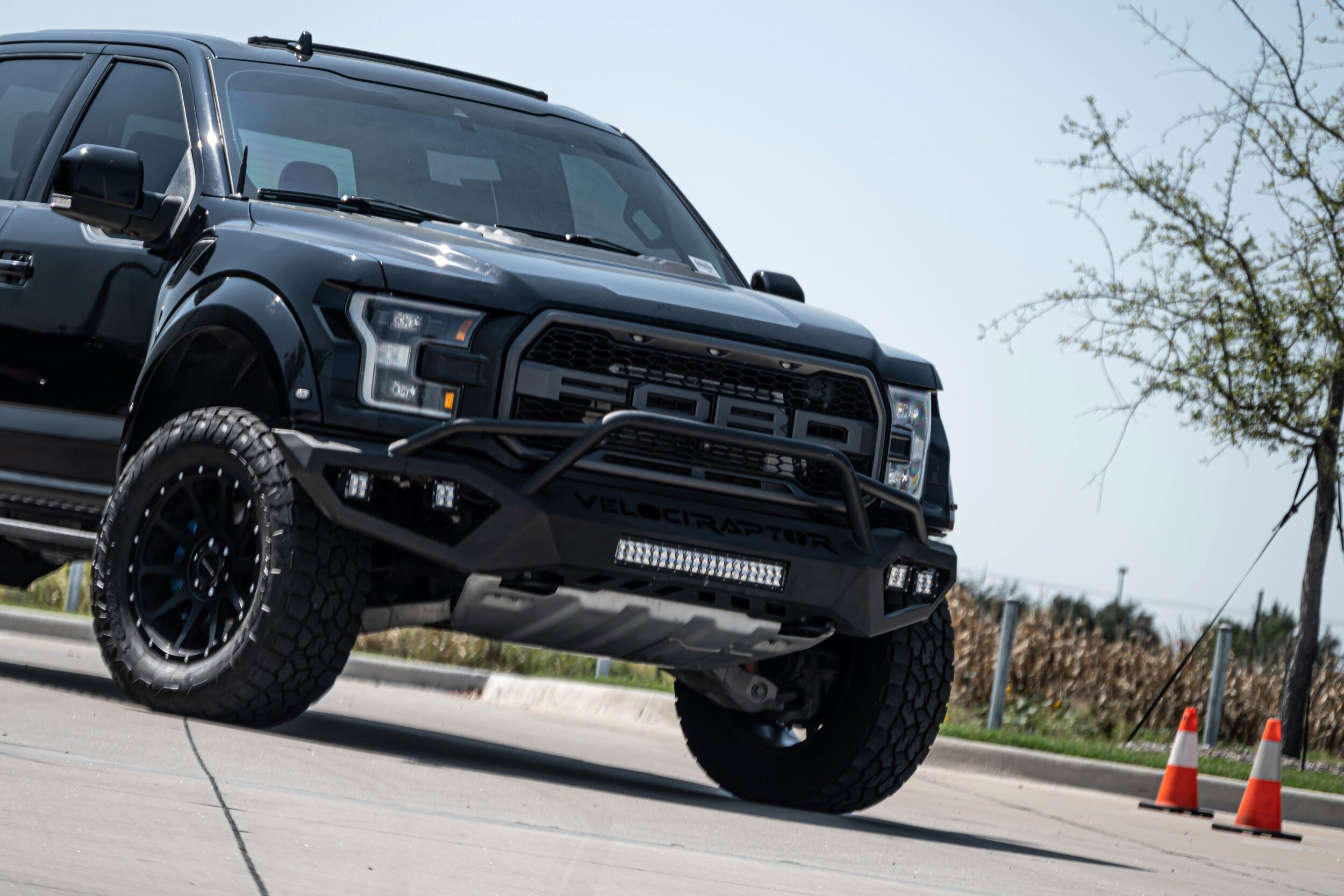 2019 Ford F-150 Raptor photo 3