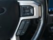 2022 Ford Super Duty F-250 SRW Platinum 4WD Crew Cab Pickup
