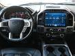 2022 Ford Super Duty F-250 SRW Platinum 4WD Crew Cab Pickup