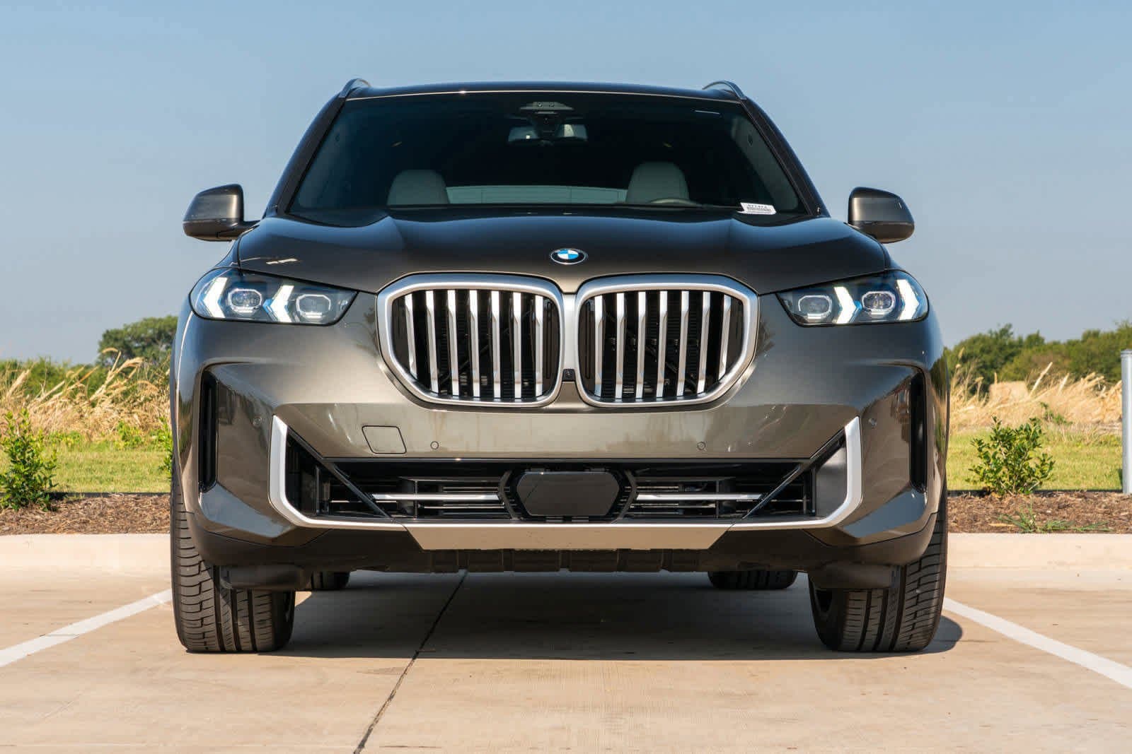 2025 BMW X5 sDrive40i photo 2