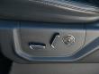 2022 Ford Super Duty F-250 SRW Platinum 4WD Crew Cab Pickup
