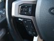2022 Ford Super Duty F-250 SRW Platinum 4WD Crew Cab Pickup