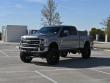 2022 Ford Super Duty F-250 SRW Platinum 4WD Crew Cab Pickup