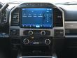 2022 Ford Super Duty F-250 SRW Platinum 4WD Crew Cab Pickup