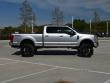 2022 Ford Super Duty F-250 SRW Platinum 4WD Crew Cab Pickup