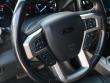 2022 Ford Super Duty F-250 SRW Platinum 4WD Crew Cab Pickup