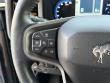 2024 Ford Bronco Badlands Convertible