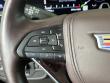2023 CADILLAC Escalade 4WD Sport Platinum SUV