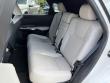 2023 LEXUS RX RX 350 Premium Plus SUV