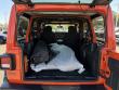 2023 Jeep Wrangler High Tide Convertible